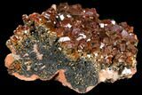 Gorgeous, Ruby-Red Vanadinite Crystal Cluster - Large Crystals #127655-2
